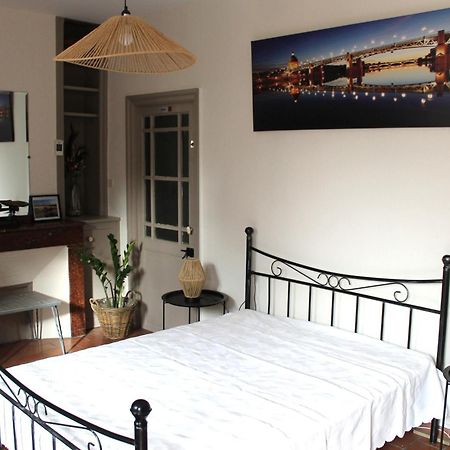 Maison Toulousaine Avec Jardin Тулуза Екстериор снимка