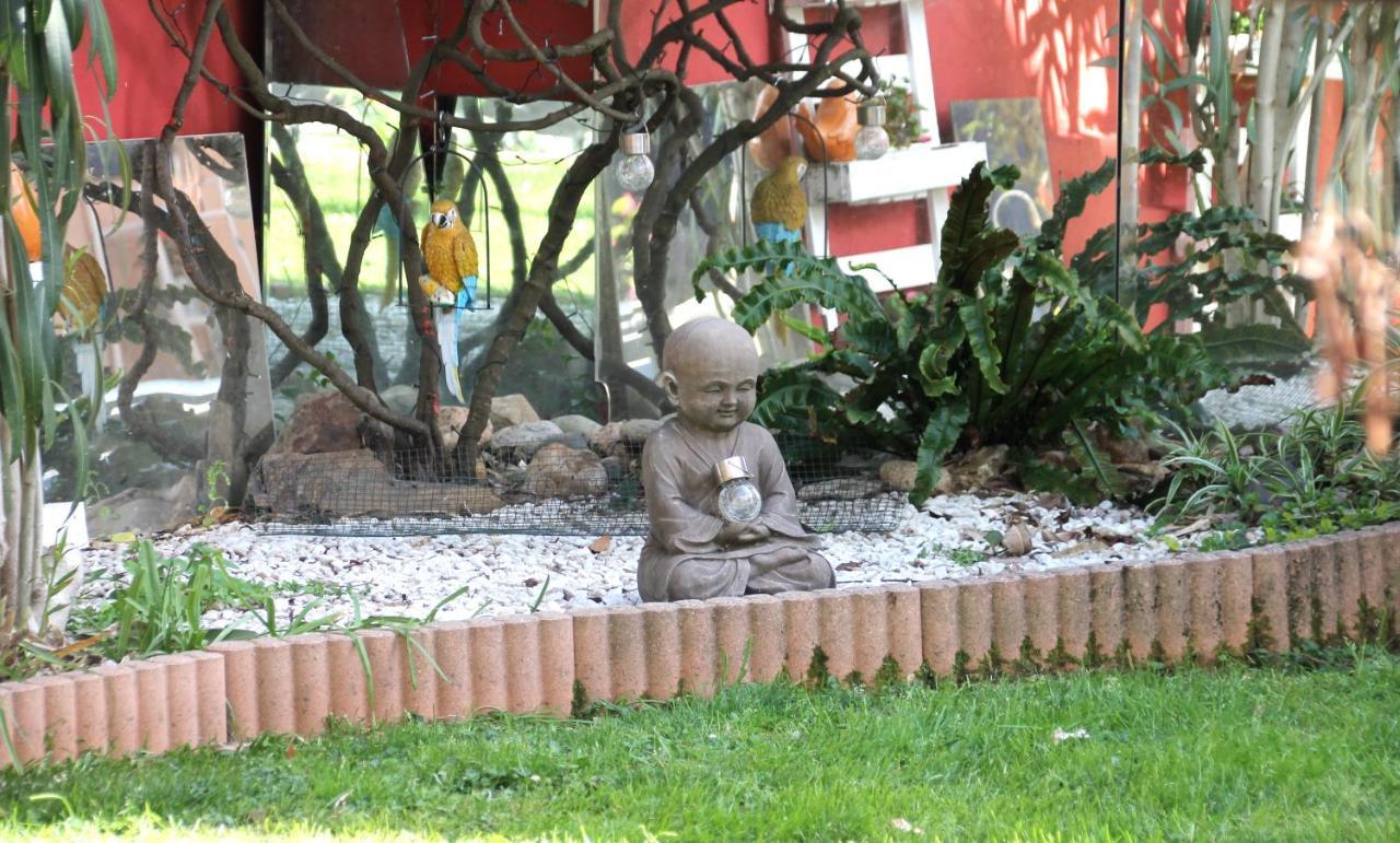 Maison Toulousaine Avec Jardin Тулуза Екстериор снимка