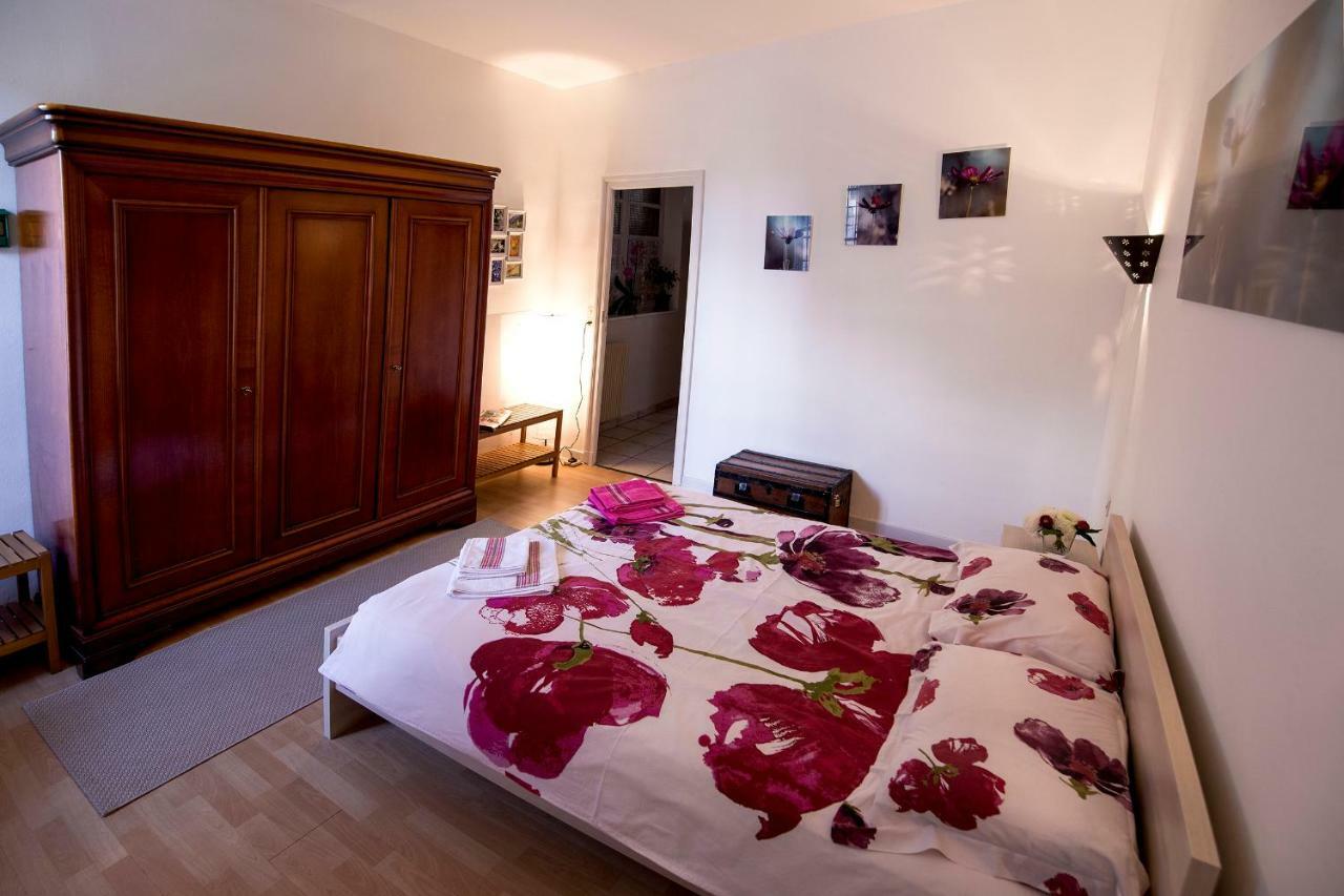 Maison Toulousaine Avec Jardin Тулуза Екстериор снимка